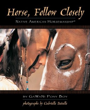 Horse, Follow Closely, Gawani Pony Boy