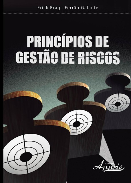 Princípios de gestão de riscos, Erick Braga Ferrão Galante