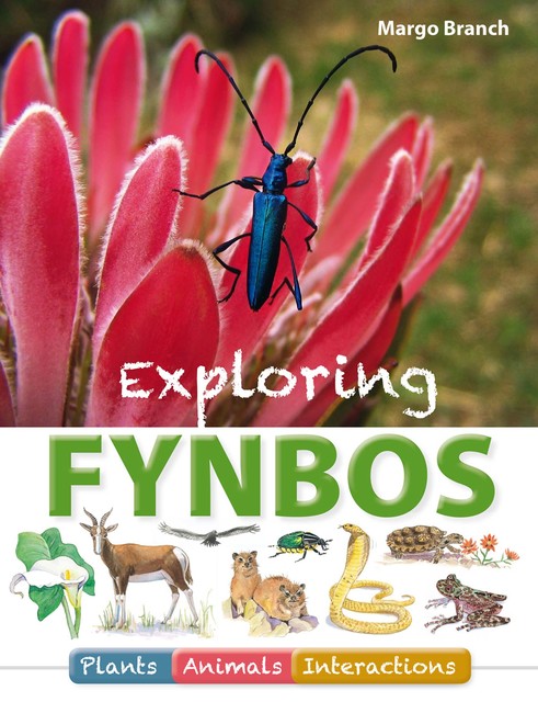 Exploring Fynbos: Plants, Animals, Interactions, Margo Branch