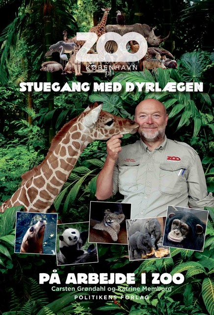 På arbejde i ZOO – Stuegang med dyrlægen, Katrine Memborg, Carsten Grøndal, Zoologisk Have