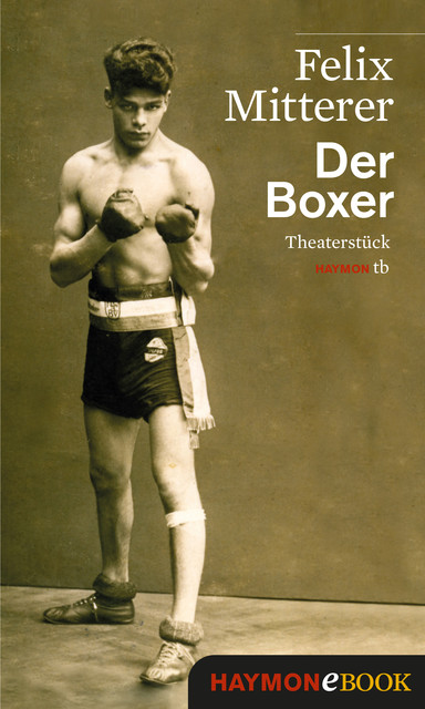 Der Boxer, Felix Mitterer