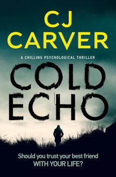 Cold Echo, CJ Carver