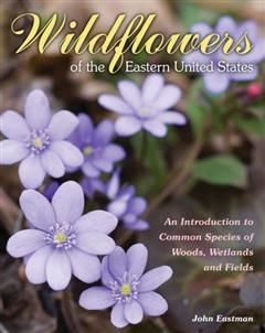 Wildflowers of the Eastern United States, John Eastman