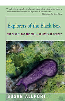 Explorers of the Black Box, Susan Allport