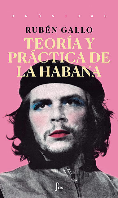 Teoría y práctica de La Habana, Ruben Gallo