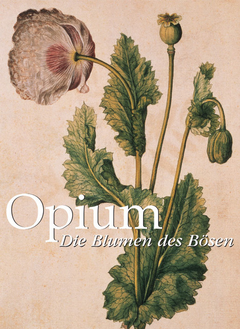Opium. Die Blumen des Bösen, Donald Wigal