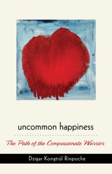 Uncommon Happiness, Dzigar Kongtrul Rinpoche