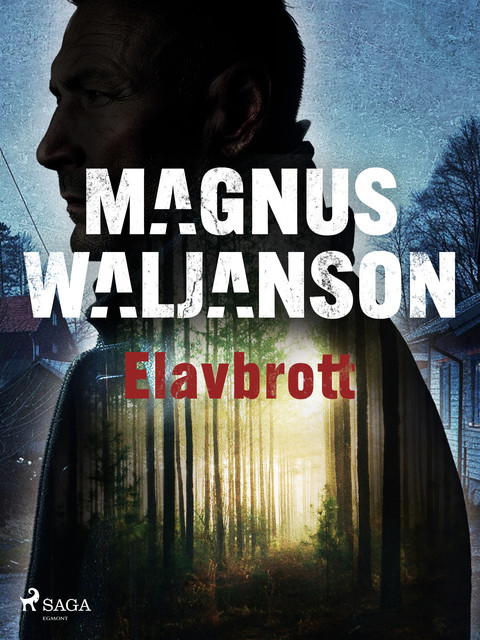Elavbrott, Magnus Waljanson