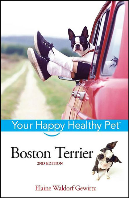 Boston Terrier, Elaine Waldorf Gewirtz