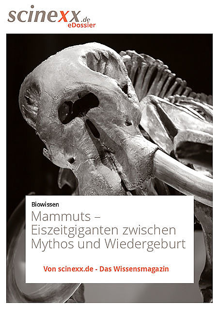 Mammuts, Dieter Lohmann