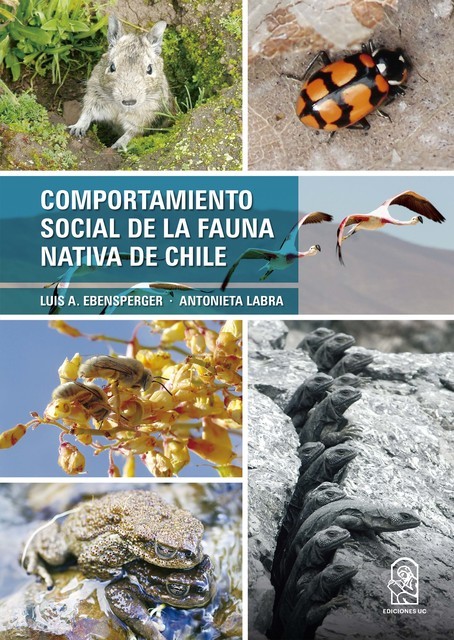 Comportamiento social de la fauna nativa de Chile, Antonieta Labra, Luis A. Ebensperger