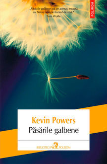Păsările galbene, Kevin Powers