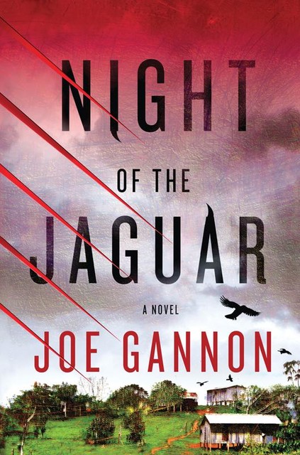 Night of the Jaguar, Joe Gannon