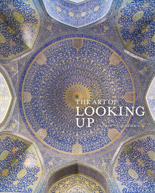 The Art of Looking Up, Catherine McCormack