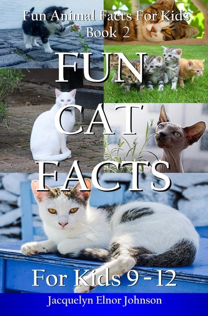 Fun Cat Facts for Kids 9–12, Jacquelyn Elnor Johnson