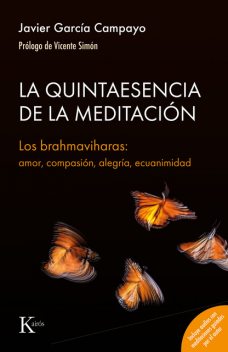 La quintaesencia de la meditación, Javier García Campayo