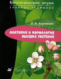 Анатомия и морфология высших растений, Олег Коровкин
