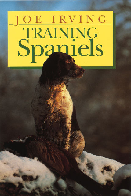 Training Spaniels, Joe Irving
