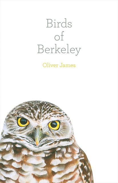 Birds of Berkeley, Oliver James