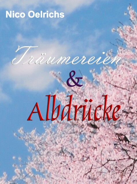 Träumereien und Albdrücke, Nico Oelrichs