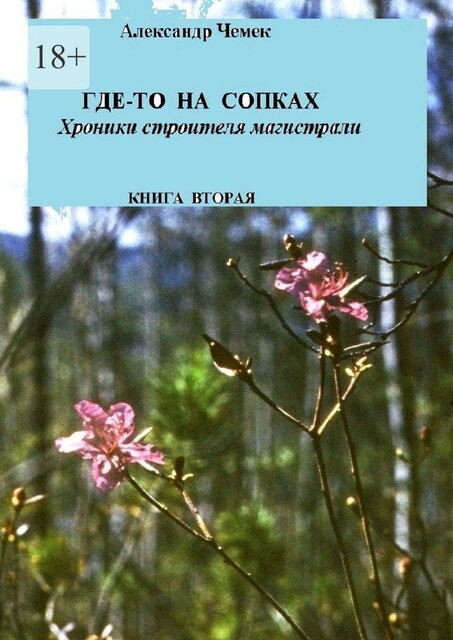 Где-то на сопках. Хроники строителя магистрали. Книга вторая, Александр Чемек