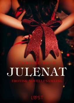 Julenat – erotisk novellesamling, Camille Bech