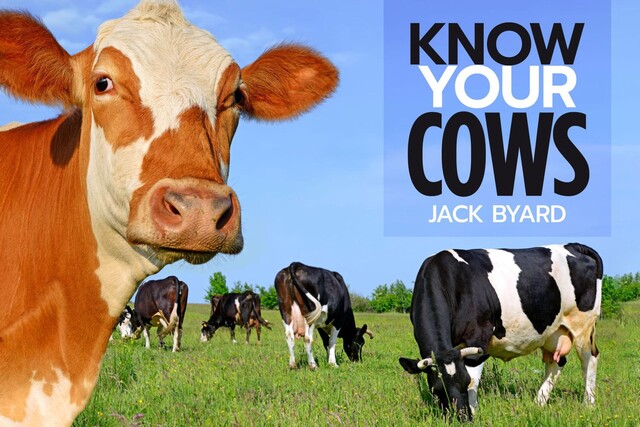 Know Your Cows, Jack Byard