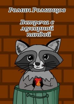 Встреча с мусорной пандой, Роман Романцов