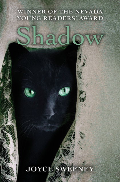 Shadow, Joyce Sweeney
