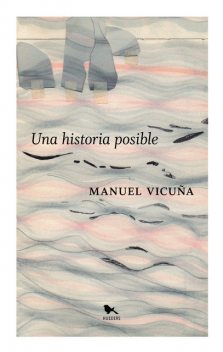 Una historia posible, Manuel Vicuña