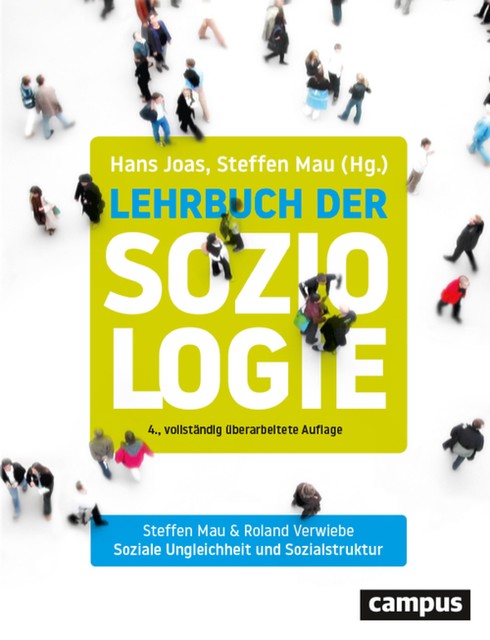 Soziale Ungleichheit und Sozialstruktur, Steffen Mau, Roland Verwiebe