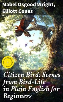 Citizen Bird: Scenes from Bird-Life in Plain English for Beginners, Mabel Osgood Wright, Elliott Coues