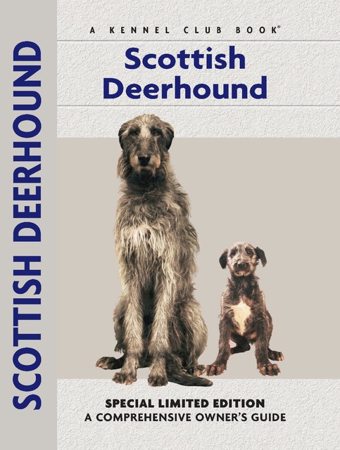 Scottish Deerhound, Juliette Cunliffe