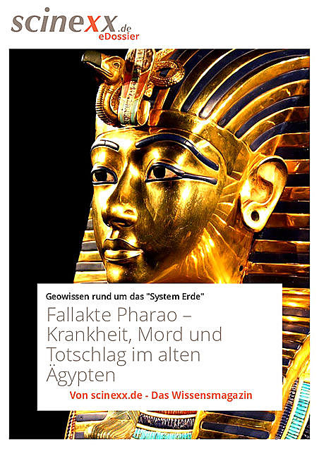 Fallakte Pharao, Dieter Lohmann