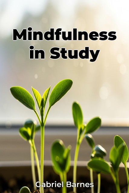 Mindfulness in Study, Gabriel Barnes