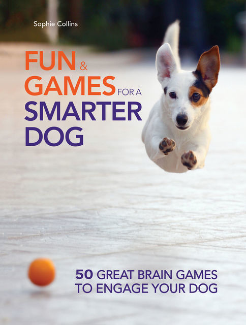 Fun and Games for a Smarter Dog, Sophie Collins