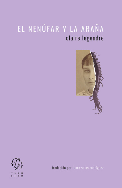 El nenúfar y la araña, Claire Legendre