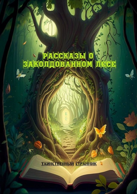 Рассказы о заколдованном лесе. История про зачарованный лес, Таинственный Странник