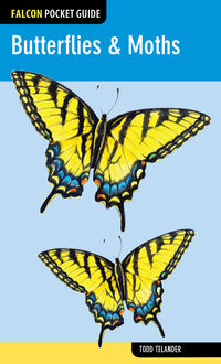Butterflies & Moths, Todd Telander