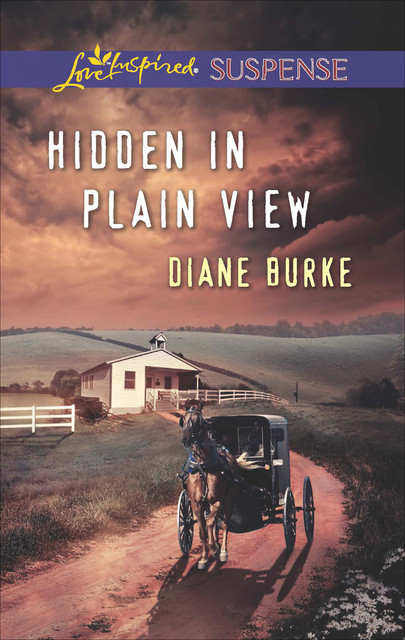 Hidden in Plain View, Diane Burke