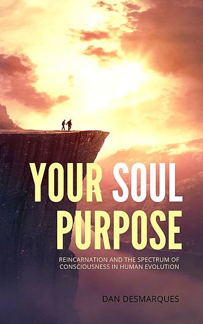 Your Soul Purpose, Dan Desmarques
