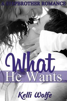 What He Wants: A Stepbrother Romance, Kelli Wolfe