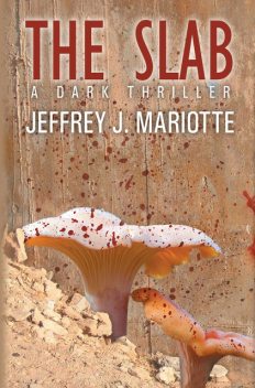 The Slab, Jeffrey J. Mariotte