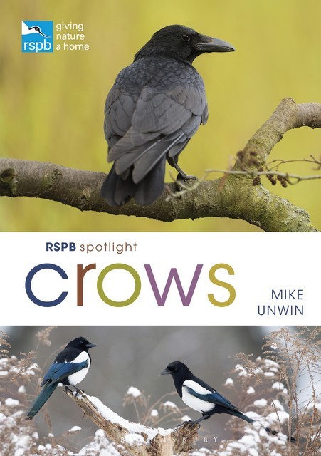 RSPB Spotlight Crows, Mike Unwin