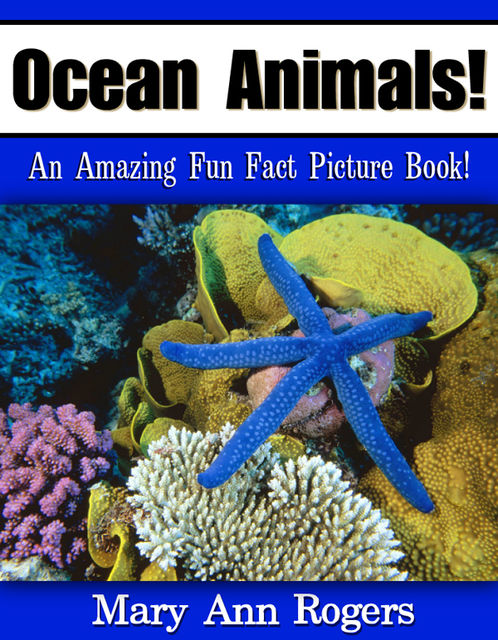 Ocean Animals, Mary Ann Rogers