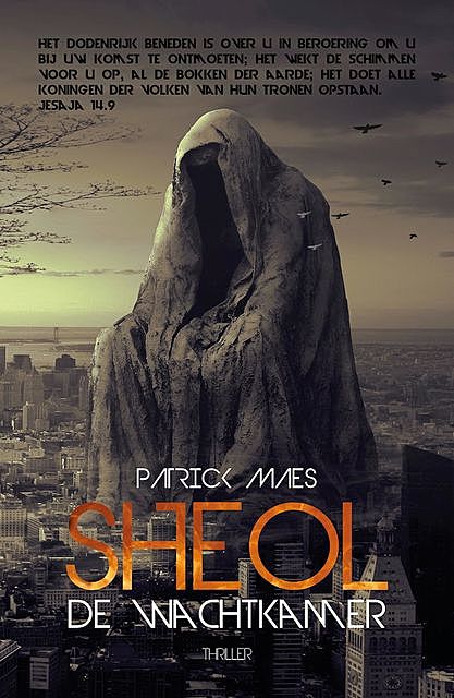 Sheol, de wachtkamer, Patrick Maes