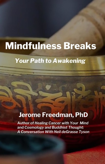 Mindfulness Breaks, Jerome Freedman
