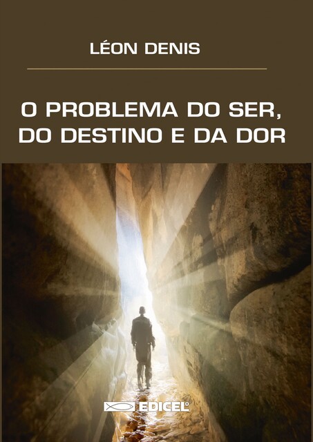 O Problema do ser, do destino e da dor, Léon Denis