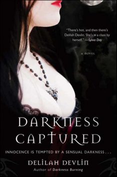 Darkness Captured, Delilah Devlin