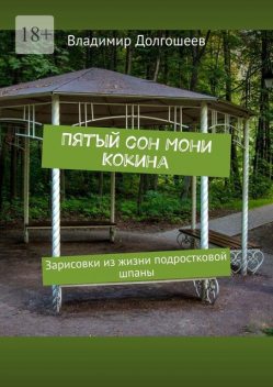 Пять снов Мони Кокина. Зарисовки из жизни подростковой шпаны, Владимир Долгошеев